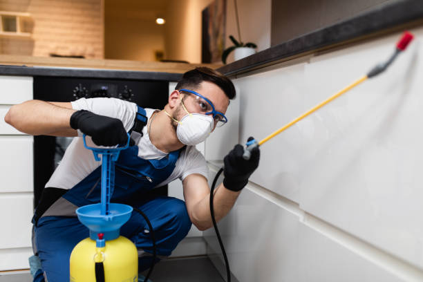Best Affordable Pest Control Services  in Old Fig Garden, CA
