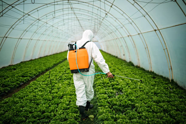 Best Residential Pest Control  in Old Fig Garden, CA