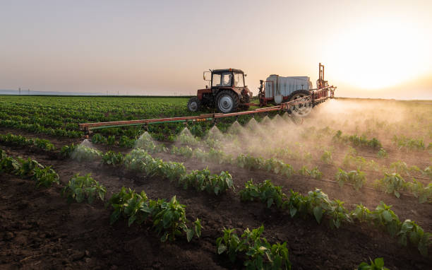 Best Pest Removal Services  in Old Fig Garden, CA
