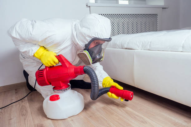 Best Mosquito Control Services  in Old Fig Garden, CA