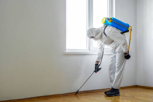 Best Best Pest Control Companies  in Old Fig Garden, CA