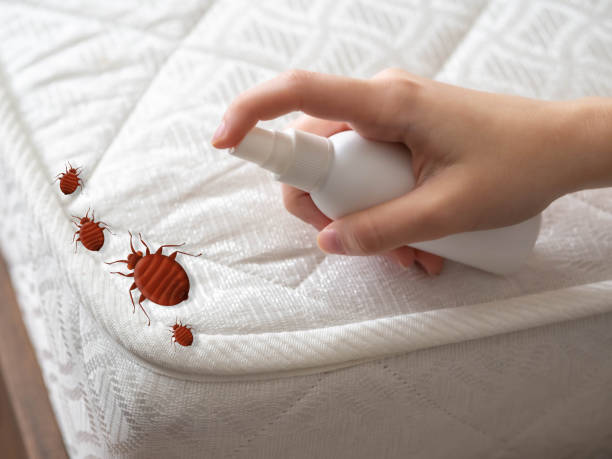 Best Flea Control Services  in Old Fig Garden, CA
